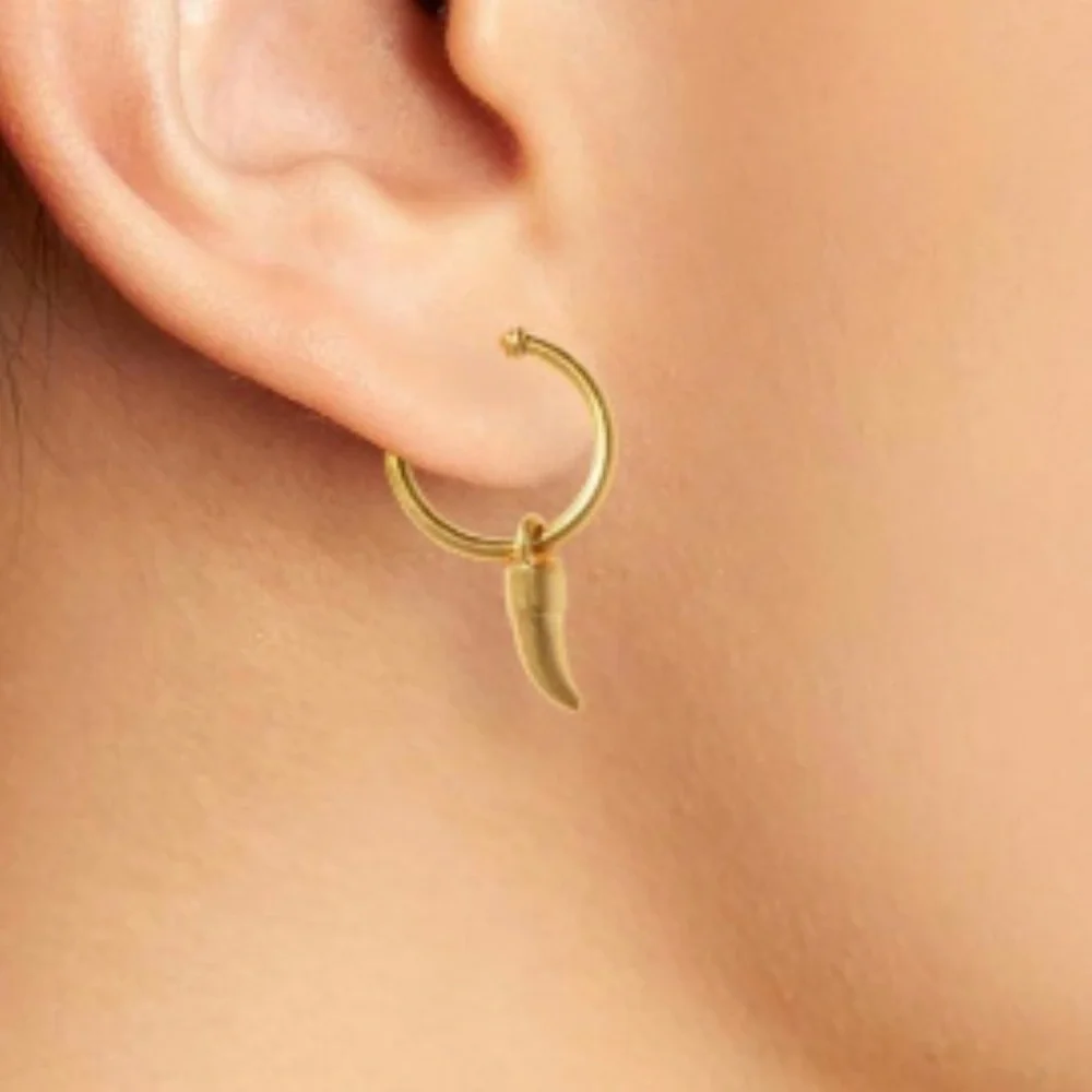 Madewell Horn Charm Hoop Earrings Gold Charm NWT